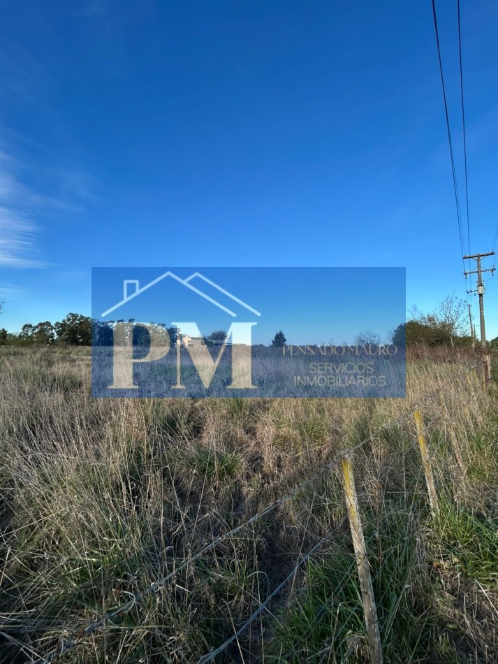AMPLIO TERRENO EN VENTA EN ZONA QUINTA, TAPALQUE 