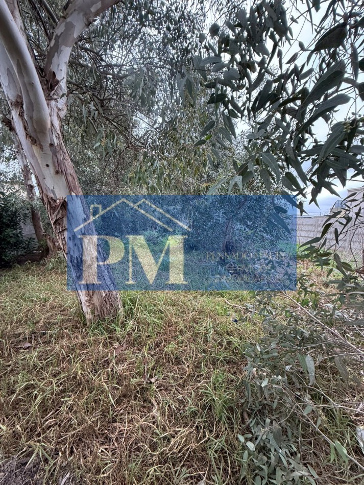 TERRENO EN VENTA, OFERTA