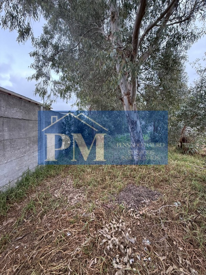 TERRENO EN VENTA, OFERTA