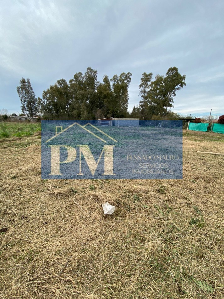 TERRENO EN VENTA, ZONA QUINTA