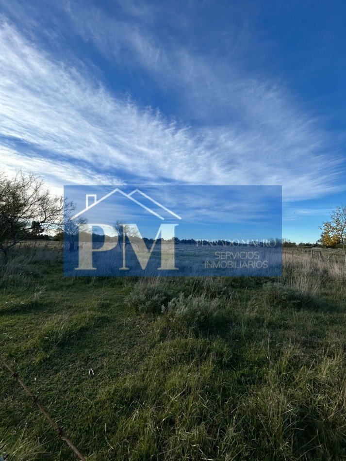 AMPLIO TERRENO EN VENTA EN ZONA QUINTA, TAPALQUE 