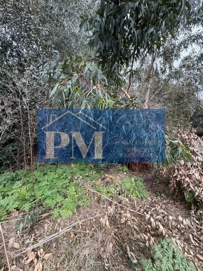 TERRENO EN VENTA, OFERTA