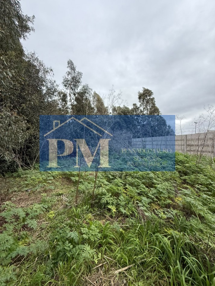 TERRENO EN VENTA, OFERTA