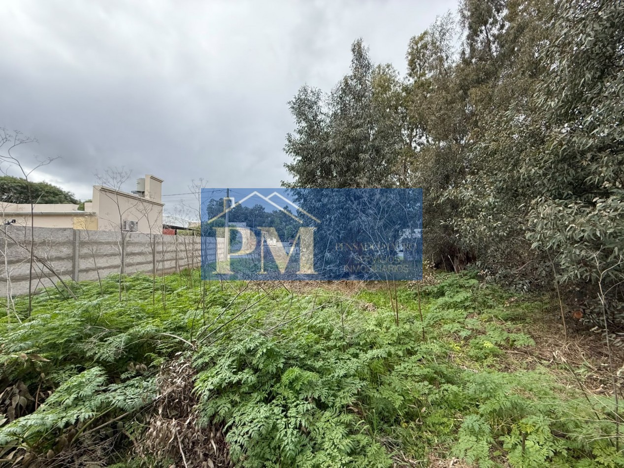 TERRENO EN VENTA, OFERTA