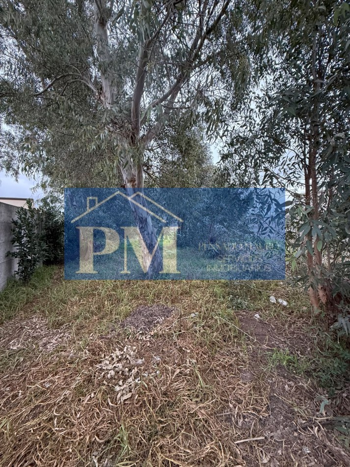 TERRENO EN VENTA, OFERTA