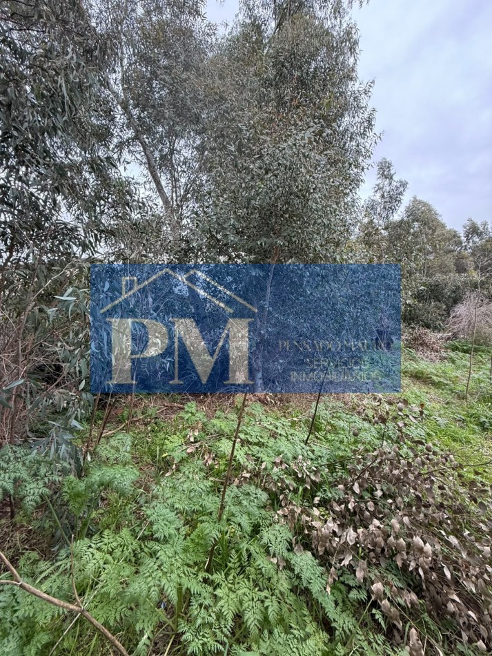TERRENO EN VENTA, OFERTA
