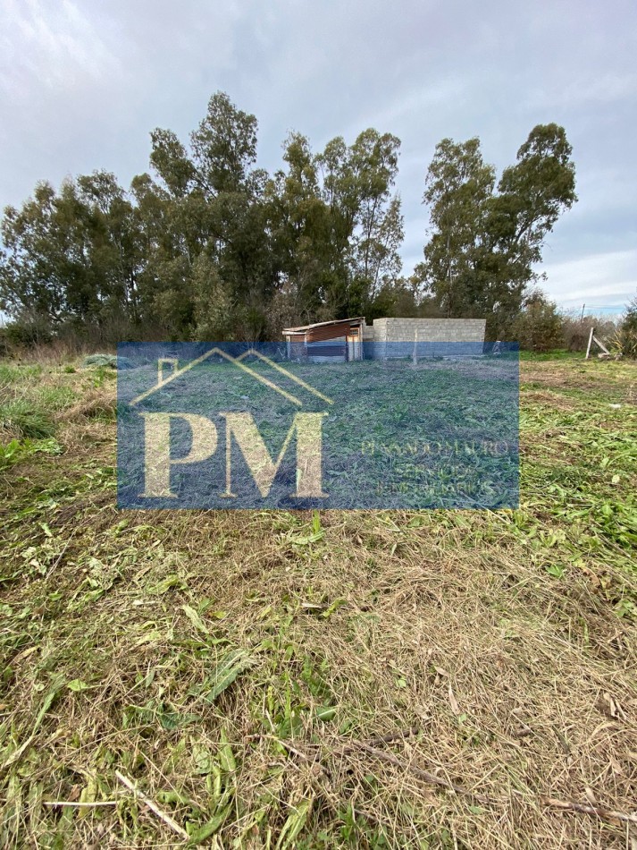 TERRENO EN VENTA, ZONA QUINTA