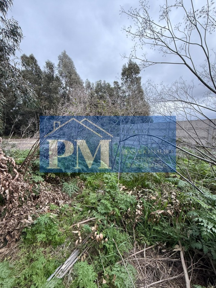 TERRENO EN VENTA, OFERTA