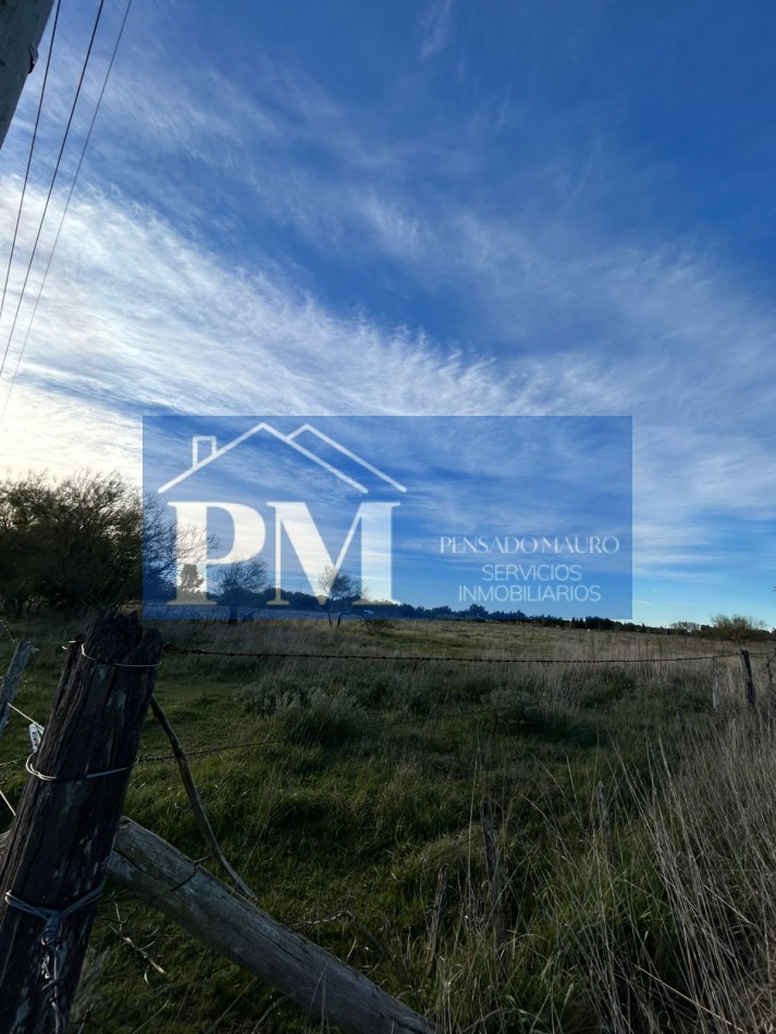 AMPLIO TERRENO EN VENTA EN ZONA QUINTA, TAPALQUE 