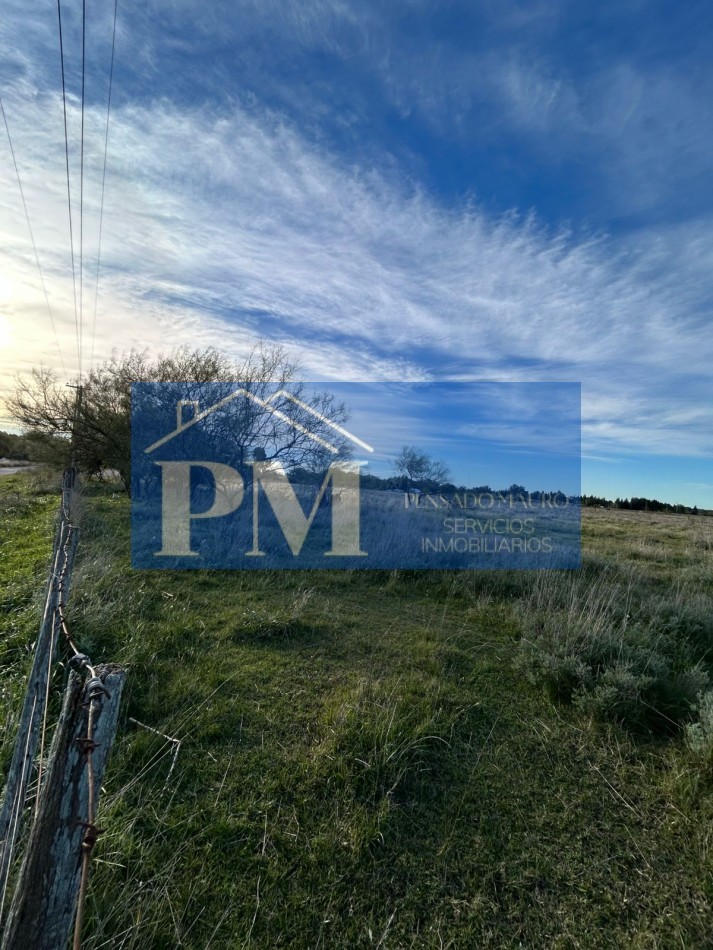 AMPLIO TERRENO EN VENTA EN ZONA QUINTA, TAPALQUE 