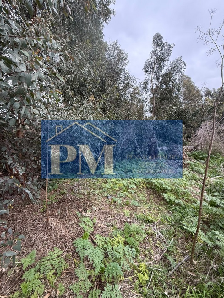 TERRENO EN VENTA, OFERTA