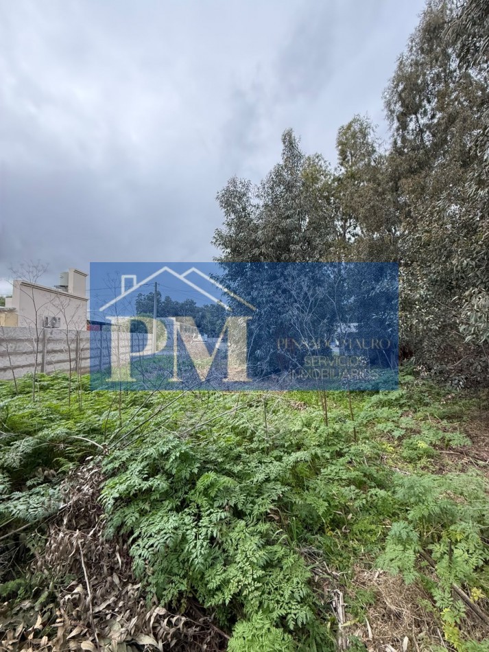 TERRENO EN VENTA, OFERTA