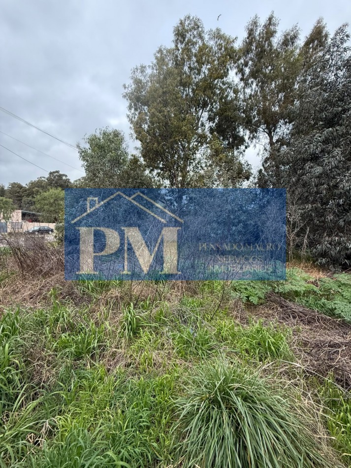 TERRENO EN VENTA, OFERTA