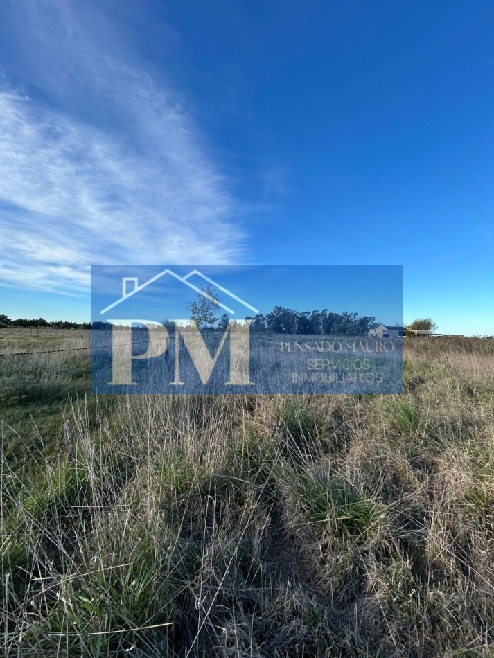 AMPLIO TERRENO EN VENTA EN ZONA QUINTA, TAPALQUE 