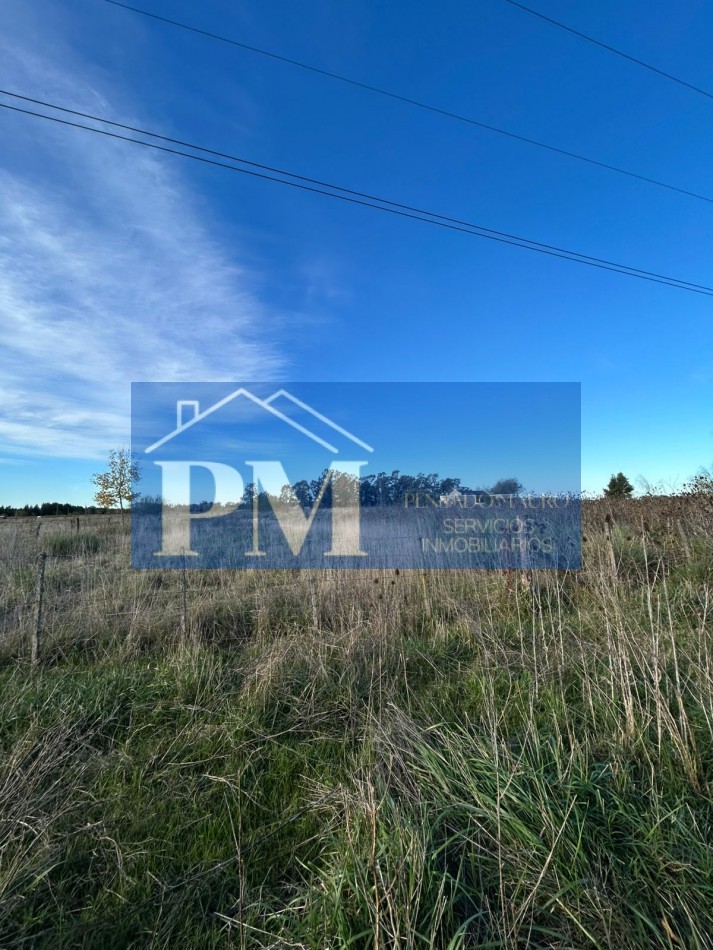 AMPLIO TERRENO EN VENTA EN ZONA QUINTA, TAPALQUE 