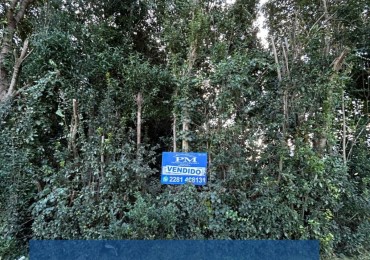 TERRENO EN VENTA / VENDIDO