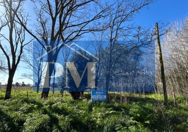 TERRENO EN VENTA, CROTTO